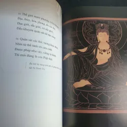 Kinh Hoa Nghiêm Phẩm Thập Trụ - Chính Văn và Lược Giải - Thầy Hằng Trường mới 90% 698198