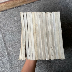 Truyện tranh - Bá Tước Tiểu Thư Tái Bản - Trọn bộ 15 tập 459677
