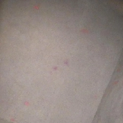 Túi xách vai Fendi Mon Tresor 8BT298 A5KC 611035