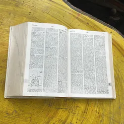 TỪ ĐIỂN ANH - VIỆT ENGLISH- VIETNAMESE DICTIONARY  701204