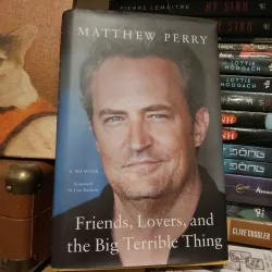 Friends, Lovers, and Big Terrible Thing - Matthew Perry