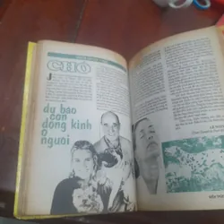 KIẾN THỨC NGÀY NAY số 155 ngày 1-11-1994 674916