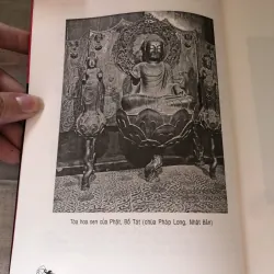 Toàn tập giải thích Hình tượng Hoa sen Phật Giáo 993513