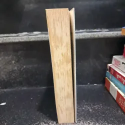 Người mẹ tốt hơn là người thầy tốt 1028797