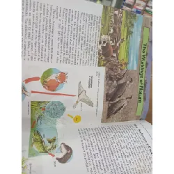 Hamlyn junior encyclopedia 584592