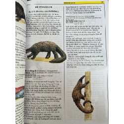 Động vật có vú - Nhóm tác giả Elicom 785049