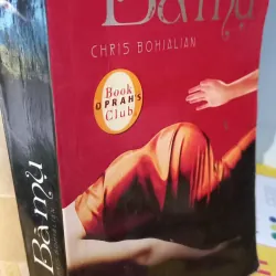 bà mụ - tiểu thuyết 993908