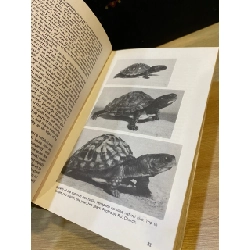 Encyclopedia of Turtles - Dr. Peter C. H. Pritchard 533826