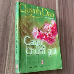 Cánh hoa chùm gửi, Quỳnh Dao