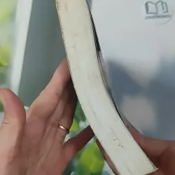 Bí Quyết Tay Trắng Thành Triệu Phú - Adam Khoo 1018948