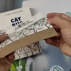 [XƯA] Combo Cây Bút Vàng 1,2 (1999) - Nhiều tác gỉa 798304