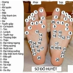 Dép sỏi giúp lưu thông khí huyết 206372