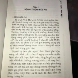 Bệnh béo phì & thực đơn phòng chữa trị - Hải Minh 1029275