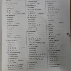 TỪ ĐIỂN Y HỌC  704112