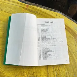 COMBO ENGLISH GRAMMAR IN USE & LUYỆN PHÁT ÂM TIẾNG ANH SHIP OR SHEEP? 130 đề mục Ngữ pháp 737750