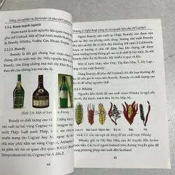 Nâng cao nghiệp vụ Bartender & pha chế Cocktail rượu Việt Nam 589671