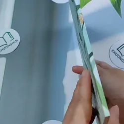 Cái Tết Của Mèo Con  - Nguyễn Đình Thi 634451