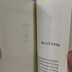 Hành Lý Hư Vô - Nguyễn Ngọc Tư 798396