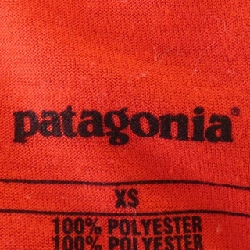 Áo thun PATAGONIA - Hàng hiệu Authentic 899621