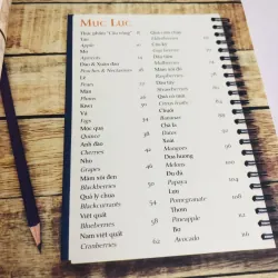 BỘ 4 CUỐN DINH DƯỠNG CHỮA BỆNH – HEALING FOODS 🌿 756222