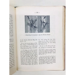 Tìm hiểu hội hoạ - Đoàn Thêm 127555