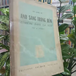 ÁNH SÁNG TRONG ĐÊM - VÕ LONG TÊ