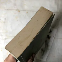 Yêu Em Từ Cái Nhìn Đầu Tiên - Cố Mạn 757818