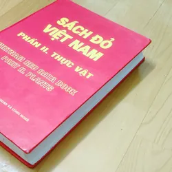 SÁCH ĐỎ VIỆT NAM - PHẦN THỰC VẬT  568462