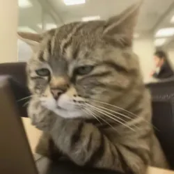 Thiết bị sóc lọ cho nam