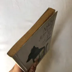 Ngày Đẹp Trời Để Cô Đơn - Aoyama Nanae 926829