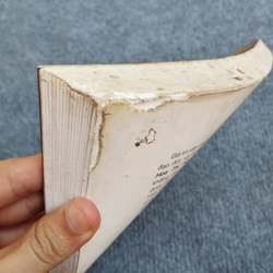 PHÁP HOA THI HÓA 485299