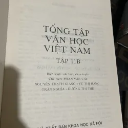 Văn học dân gian các dân tộc thiểu số Việt Nam  1002718