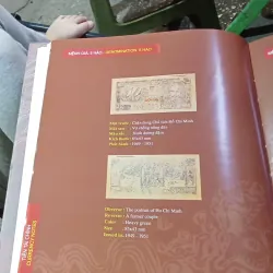 Tiền Việt Nam  973465