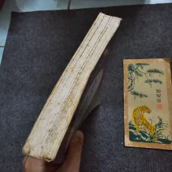 Sen nở trời phương ngoại - thích nhất hạnh - sách hải ngoại 753121