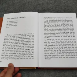 CÀNH MAI TRƯỚC SÂN - ĐỖ HỒNG NGỌC 936845