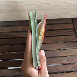 II Cây Cảnh: Xương Rồng Và Cây Mọng Nước (Sách Màu) - Dương Ngọc Hiệp 718583