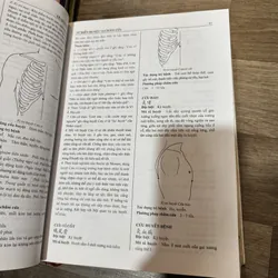 Từ điển châm cứu huyệt vị 590617