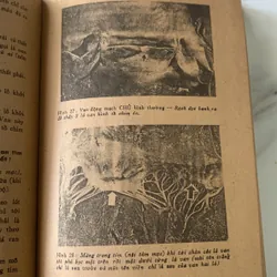 Phòng ngừa và tự điều trị bệnh tim mạch, Giáo sư Nguyễn Huy Dung, in năm 1988 709431