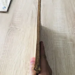 TẠP CHÍ ĐÔNG PHƯƠNG – SỐ 11–12 (1965) Ấn bản gộp số 11 & 12 929467