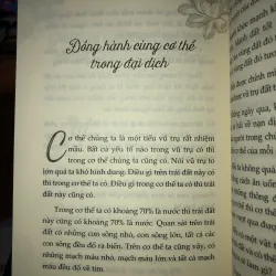 Bạn bình an thế giới bình an - Pháp Nhật 782274