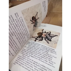 A color guide to Tarantulas of the World - Russ Gurley 1017637