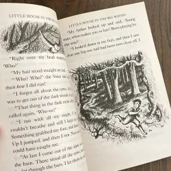 ✨𝑳𝒊𝒕𝒕𝒍𝒆 𝑯𝒐𝒖𝒔𝒆 𝒊𝒏 𝒕𝒉𝒆 𝑩𝒊𝒈 𝑾𝒐𝒐𝒅𝒔✨ 721427