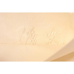 Đai túi - Hàng hiệu Authentic 874948