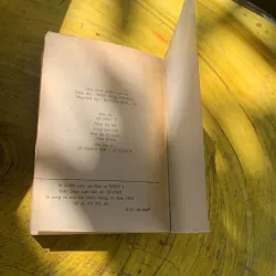 TỪ ĐIỂN CHÍNH TẢ TIẾNG VIỆT- như ý, thanh kim, việt hùng  785671