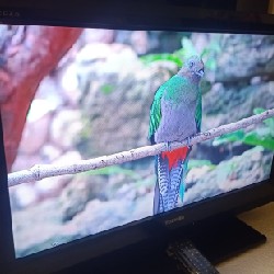 [Tivi Sony 32" Full Phụ Kiện - Thanh lý] 4646