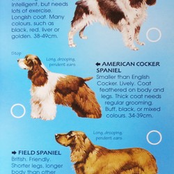 Usborne Spotter's Guides: Dogs 183942