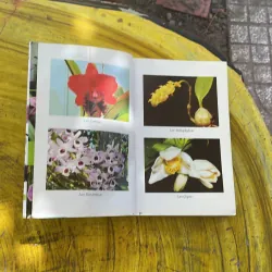 COMBO TRỒNG HOA CÂY CẢNH TRONG GIA ĐÌNH & KỸ THUẬT TRỒNG HOA LAN 929941