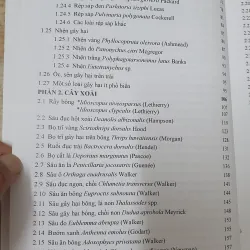 CÔN TRÙNG NHỆN GÂY HẠI CÂY ĂN TRÁI....  799628
