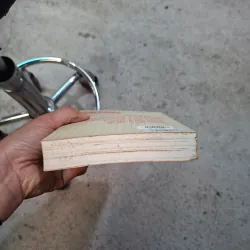 Truyện kiều tác phẩm và dư luận  995175