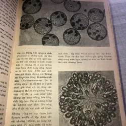 Bách khoa minh hoạ bằng hình ảnh - Thế giới động vật  779595